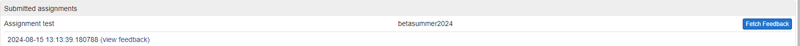 Screenshot of assignment tab when fetching an assignment feedback
